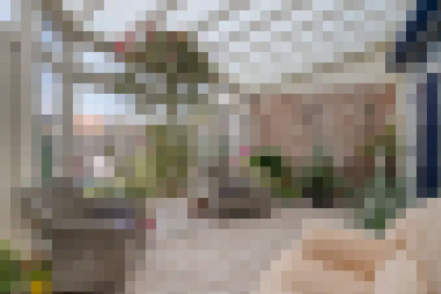 Spoorstraat 54 Sluiskil thumbnail 4