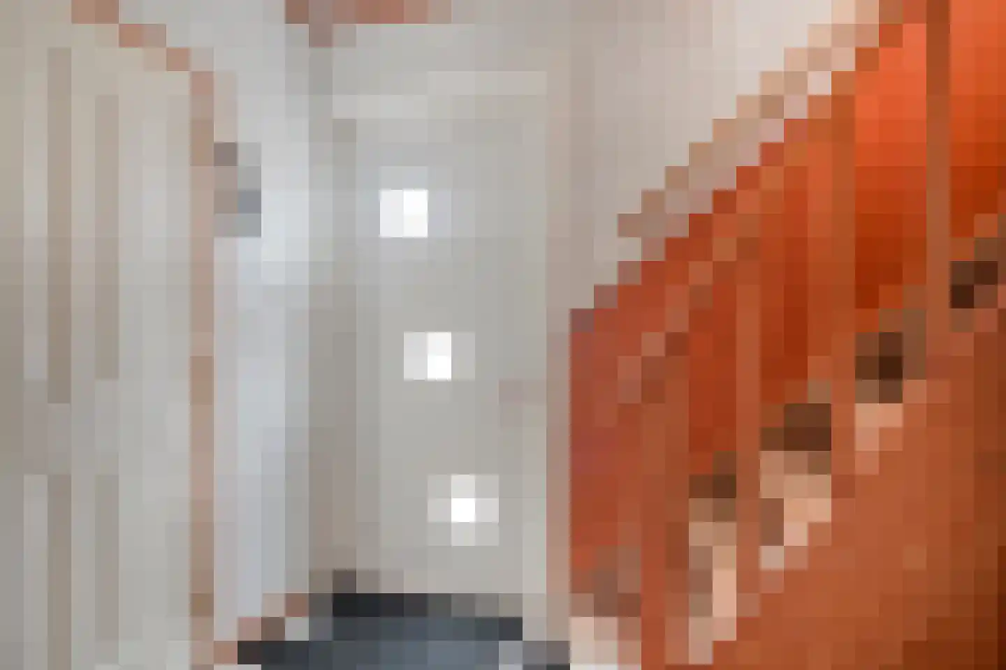 Spoorstraat 54 Sluiskil thumbnail 8