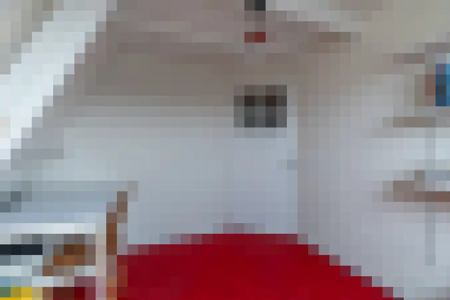Spoorstraat 57 Alkmaar thumbnail 35