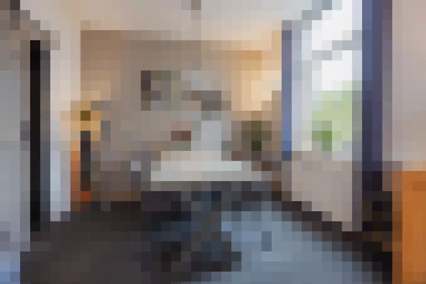 Spoorstraat 57 Tienray thumbnail 12