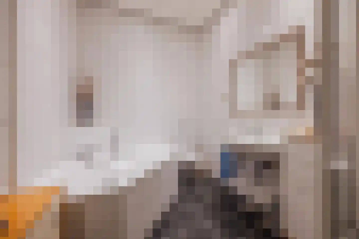 Spoorstraat 57 Tienray thumbnail 18
