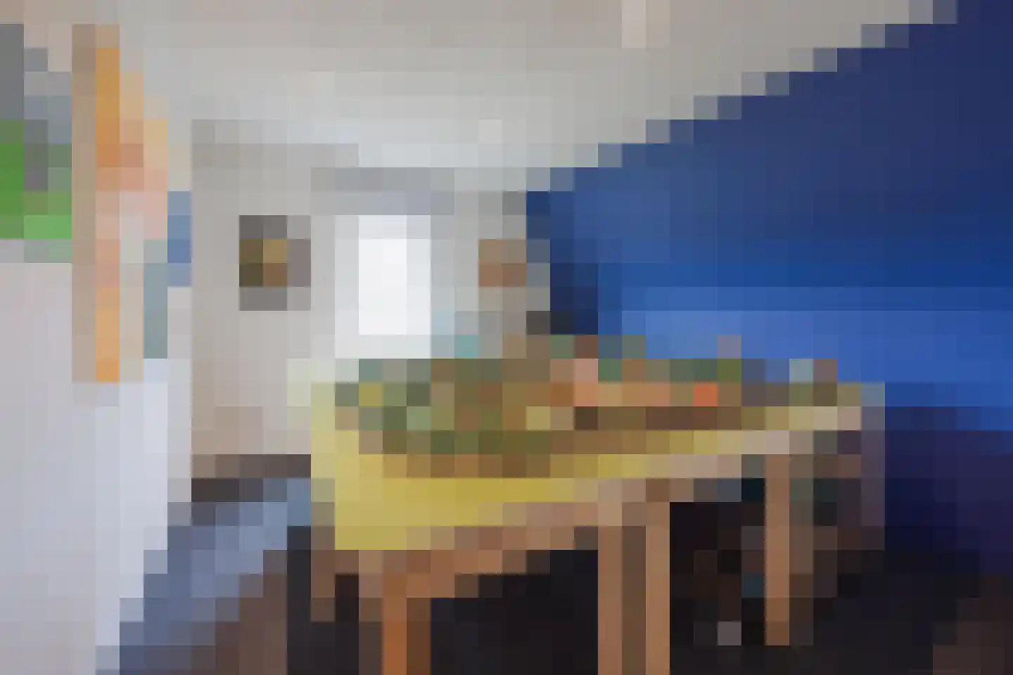 Spoorstraat 57 Tienray thumbnail 23