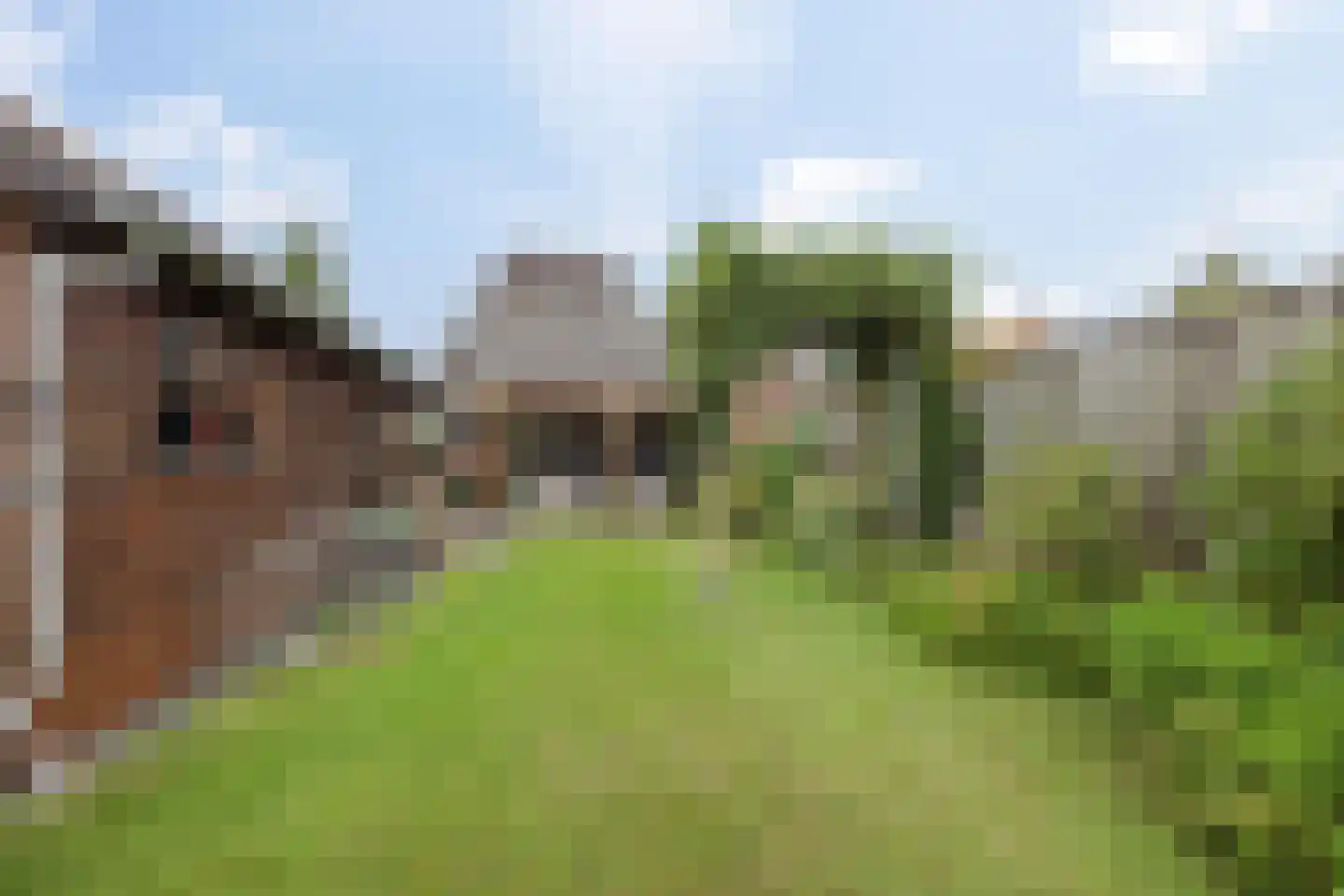 Spoorstraat 57 Tienray thumbnail 29
