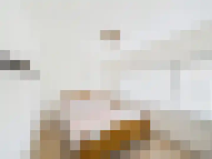 Spoorstraat 60 Sluiskil thumbnail 23