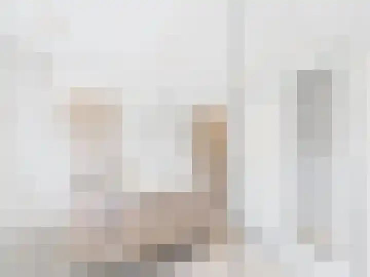 Spoorstraat 60 Sluiskil thumbnail 29