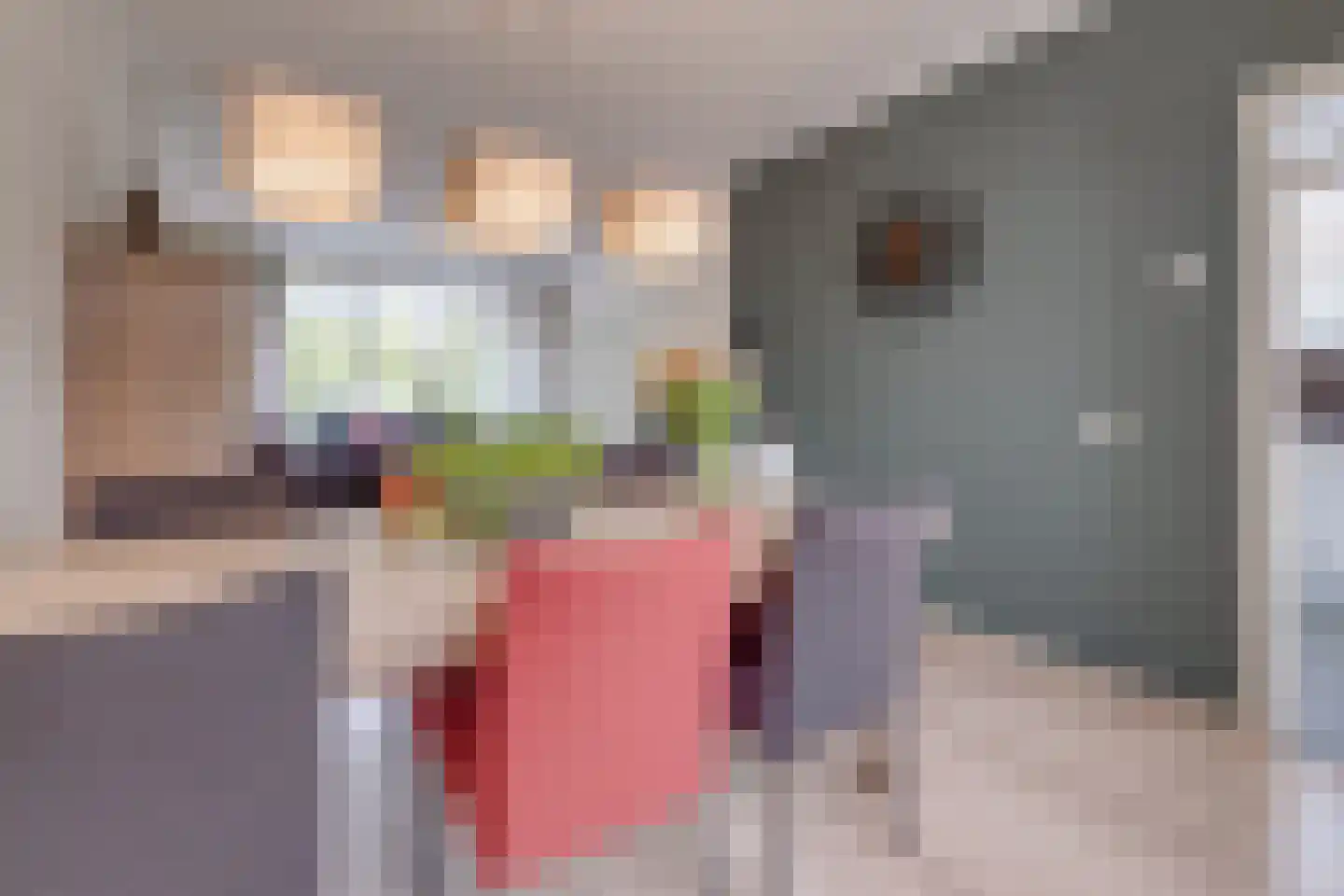 Spoorstraat 60 Susteren thumbnail 11