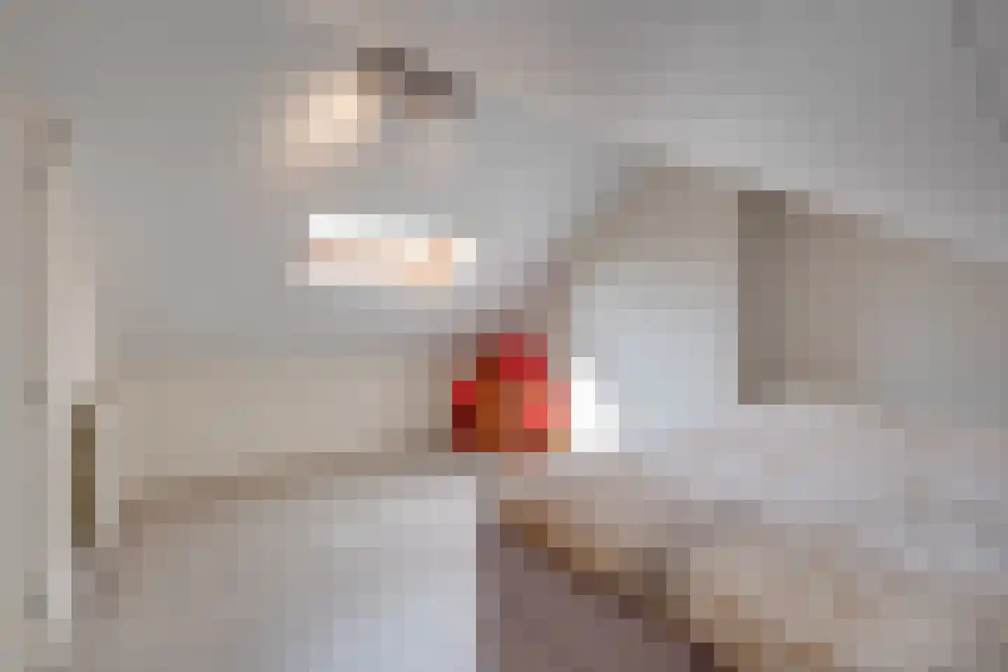 Spoorstraat 60 Susteren thumbnail 25