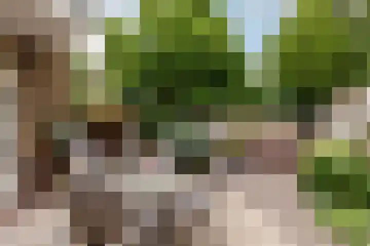 Spoorstraat 62 Schoonhoven thumbnail 57