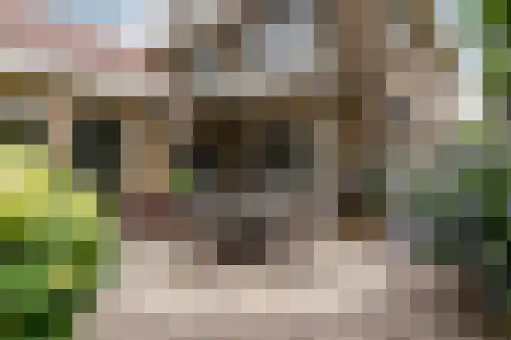 Spoorstraat 62 Schoonhoven thumbnail 59