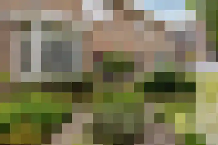 Spoorstraat 62 Schoonhoven thumbnail 68