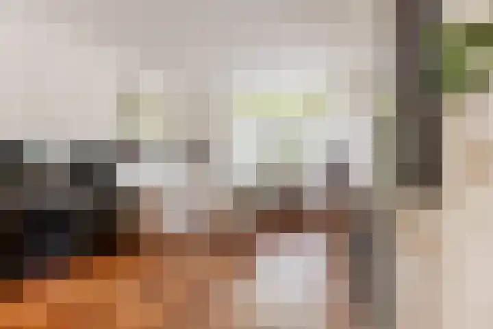 Spoorstraat 62 Schoonhoven thumbnail 7