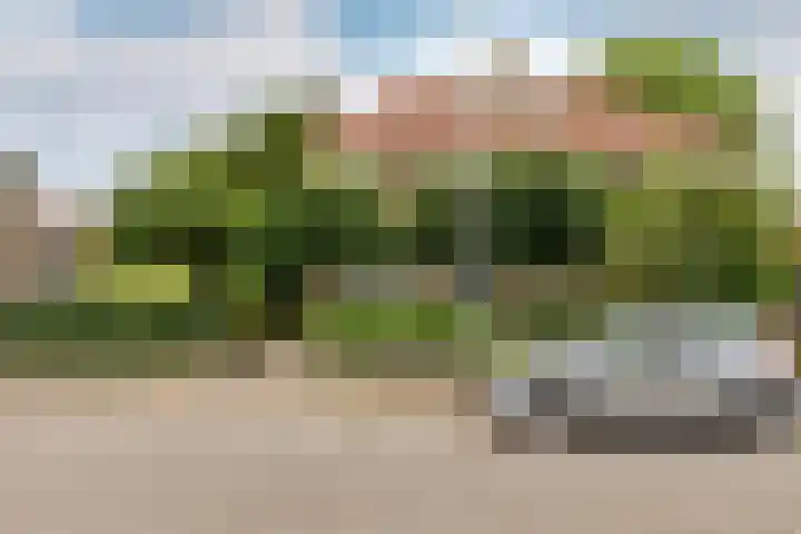 Spoorstraat 62 Schoonhoven thumbnail 79