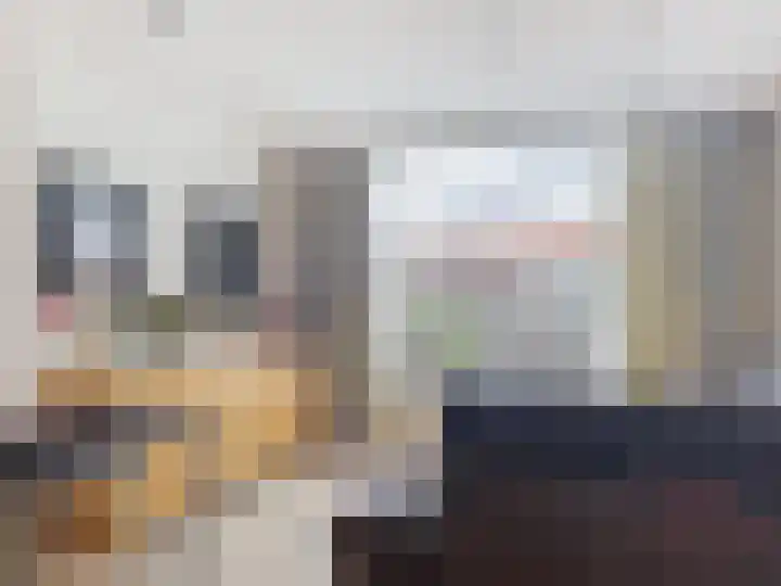 Spoorstraat 64 Sluiskil thumbnail 4