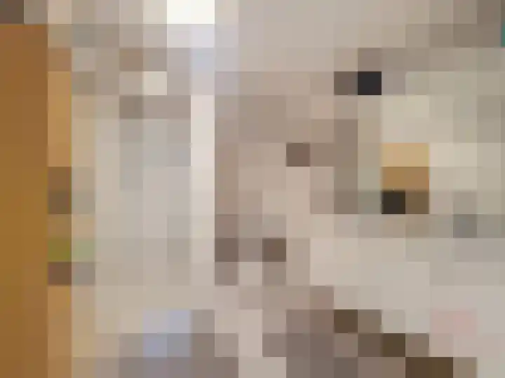 Spoorstraat 64 Sluiskil thumbnail 7