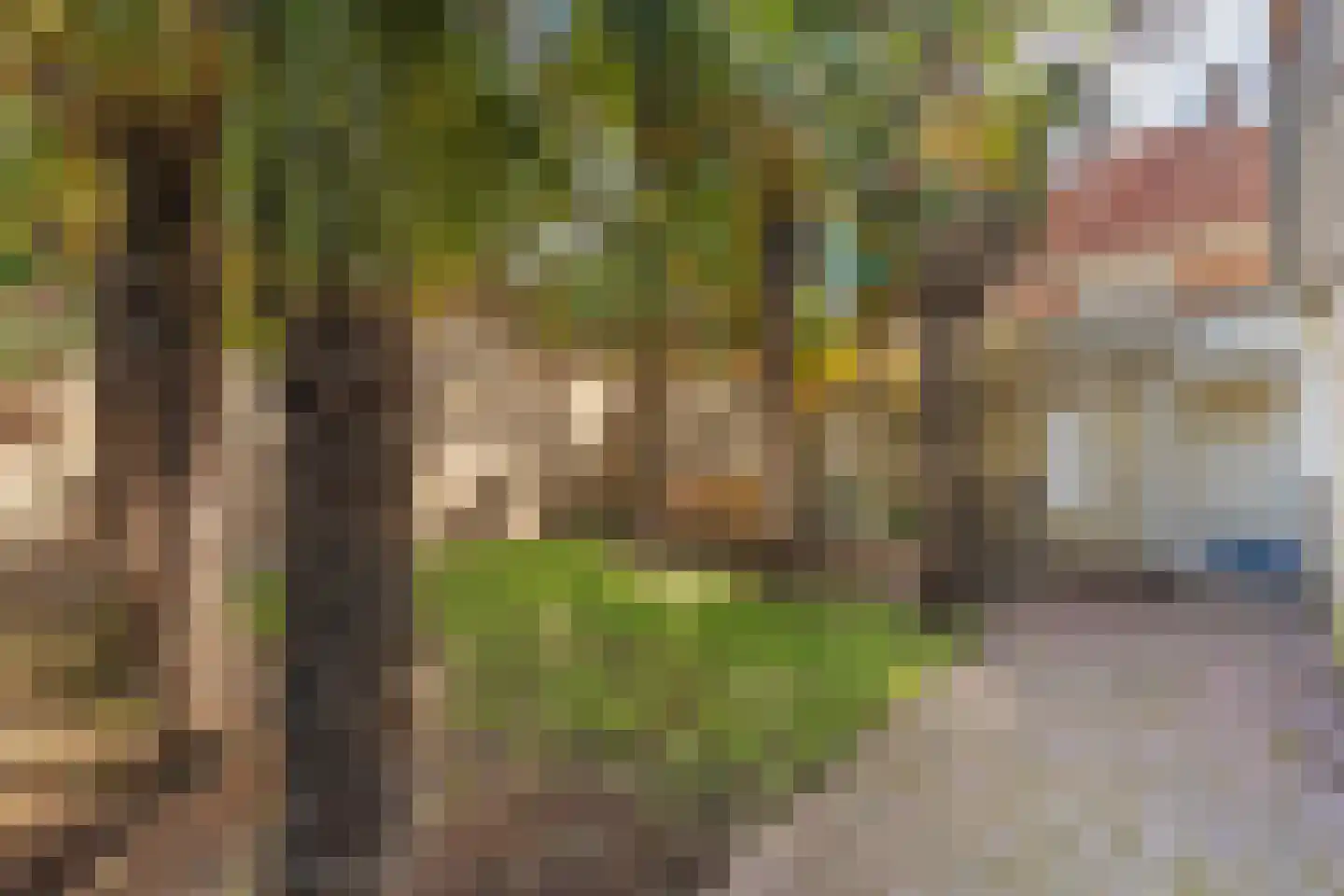 Spoorstraat 65 Roosendaal thumbnail 42