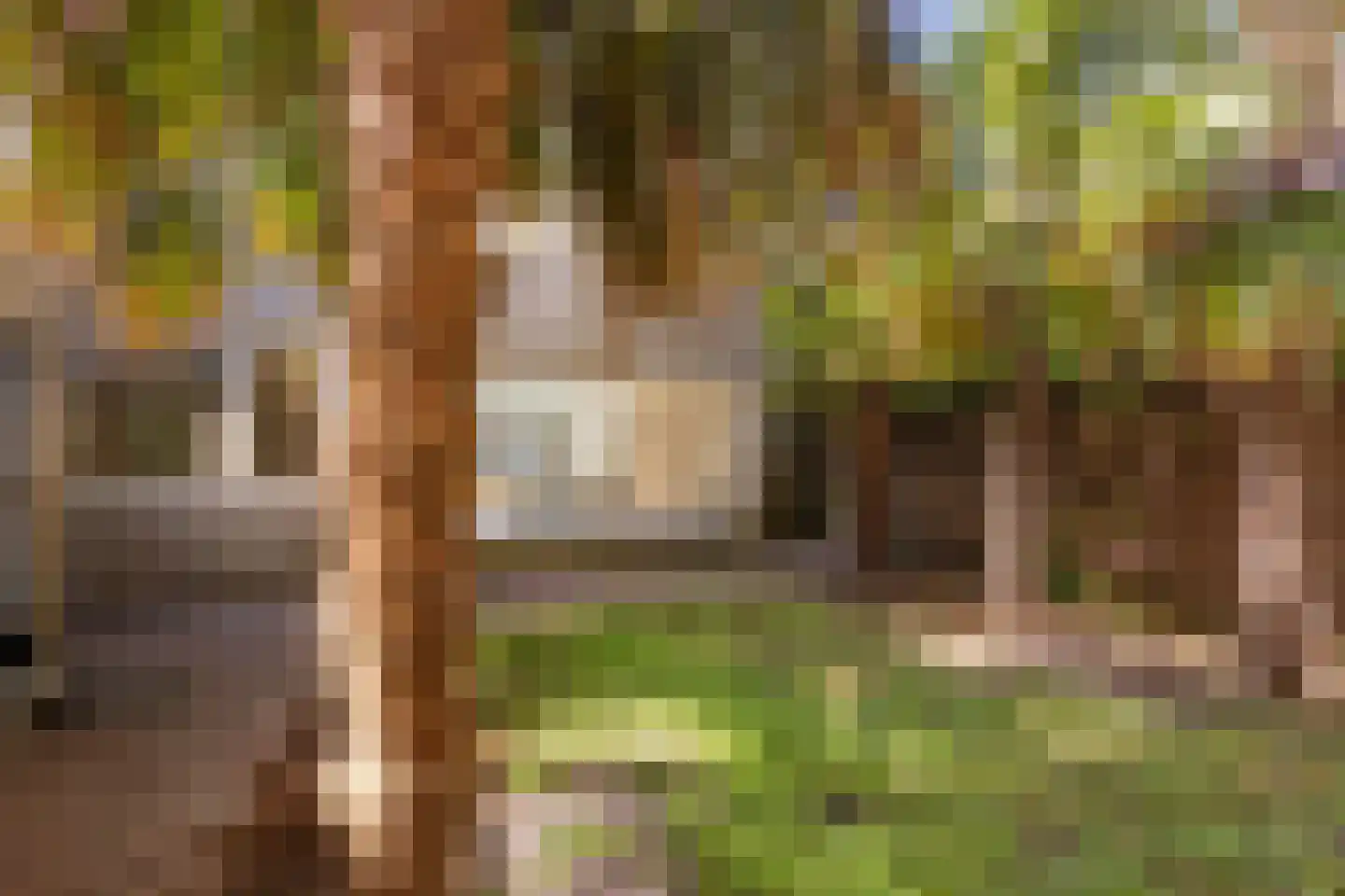 Spoorstraat 65 Roosendaal thumbnail 45