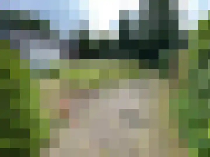 Spoorstraat 7 a Olst thumbnail 15