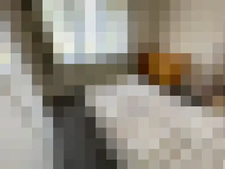 Spoorstraat 7 a Olst thumbnail 9