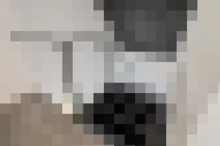 Spoorstraat 73 Geleen thumbnail 21