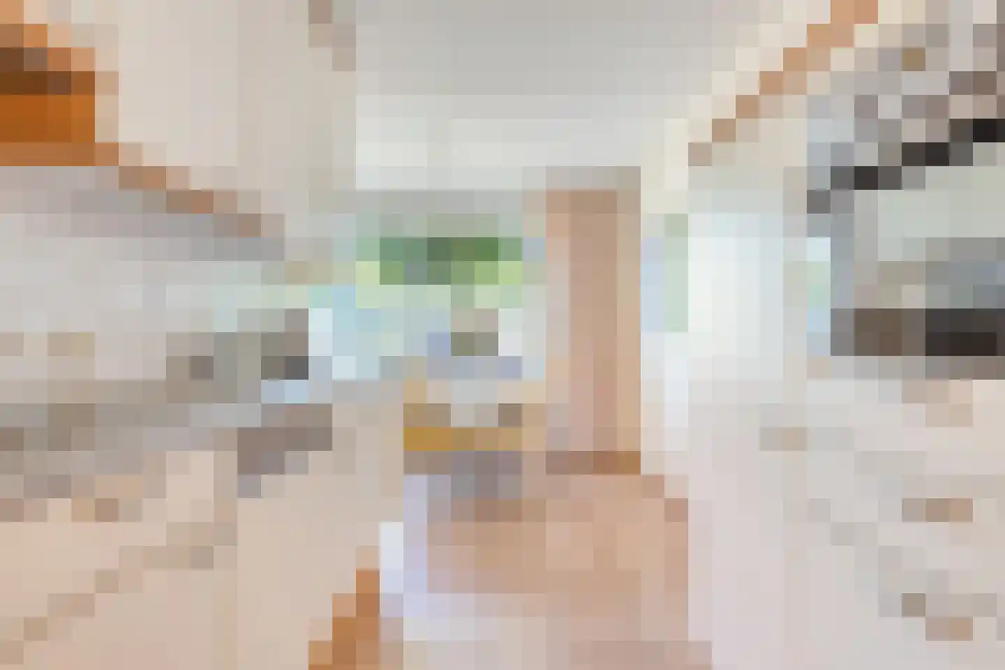 Spoorstraat 74 Susteren thumbnail 11