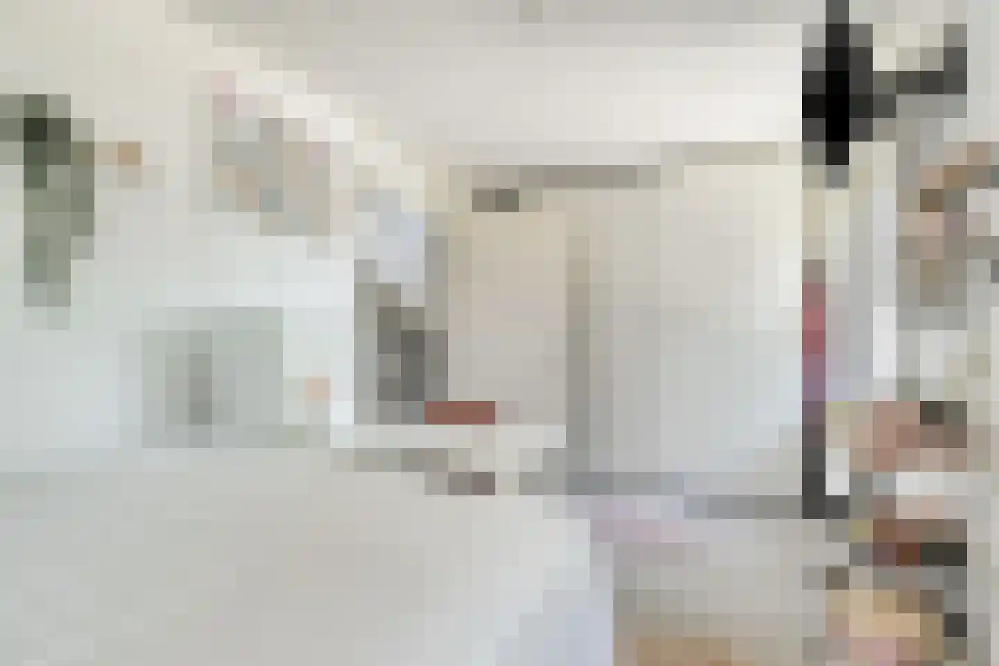 Spoorstraat 74 Susteren thumbnail 22