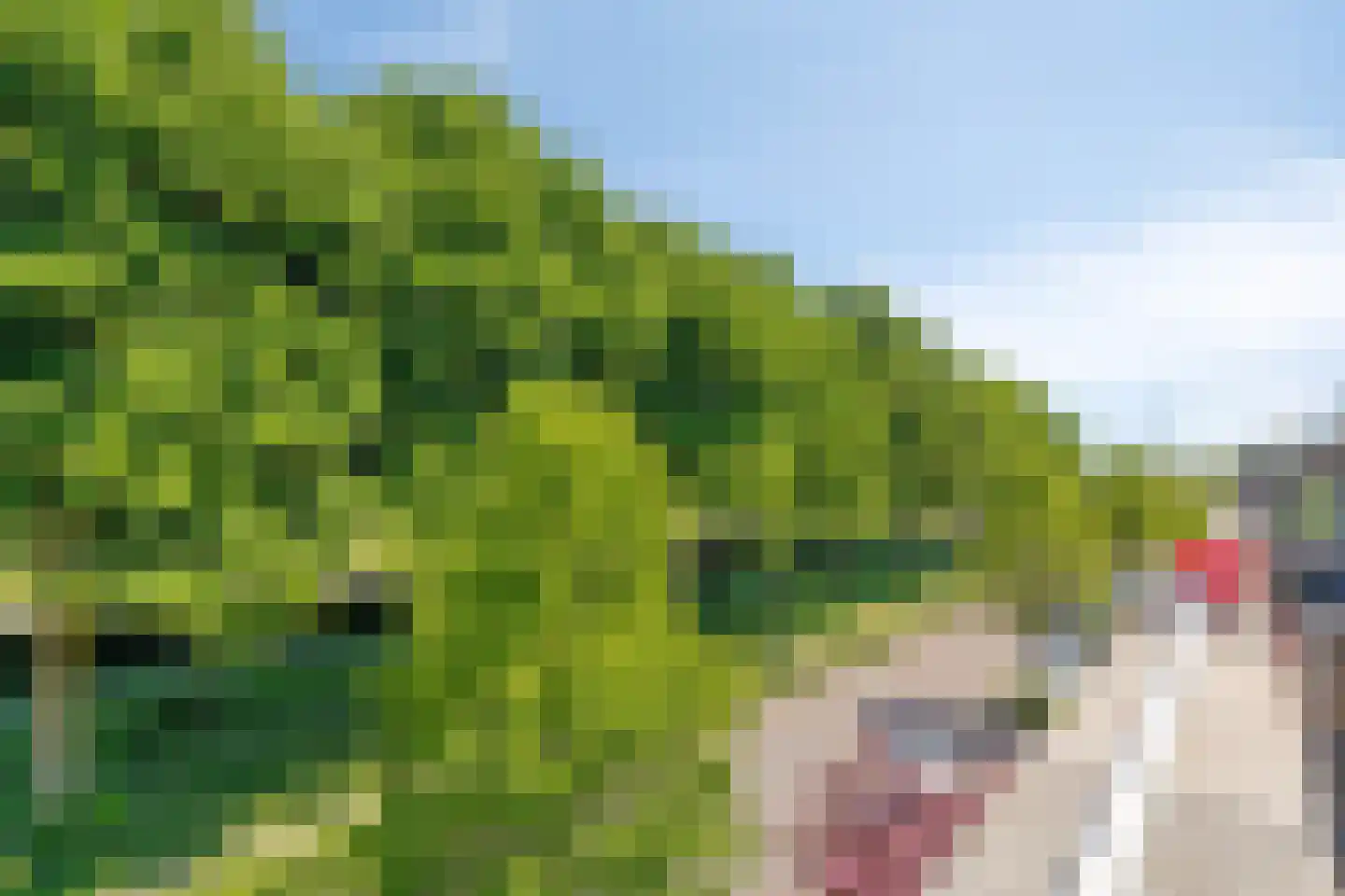 Spoorstraat 74 Susteren thumbnail 31