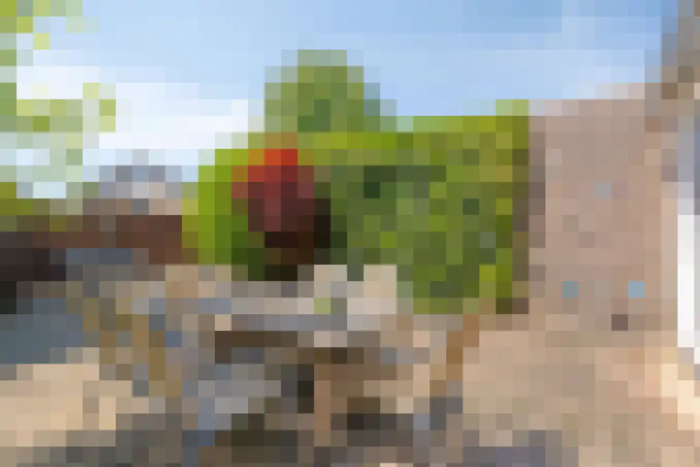Spoorstraat 74 Susteren thumbnail 36