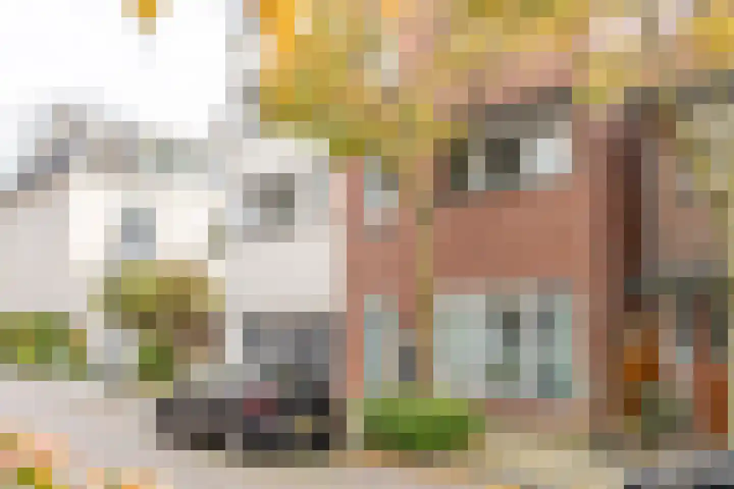 Spoorstraat 8 B Amersfoort