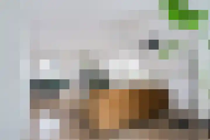 Spoorstraat 8 D Varsseveld thumbnail 13