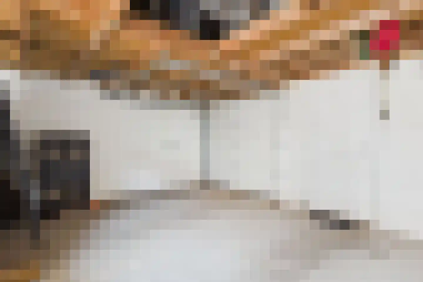 Spoorstraat 84 Sluiskil thumbnail 23