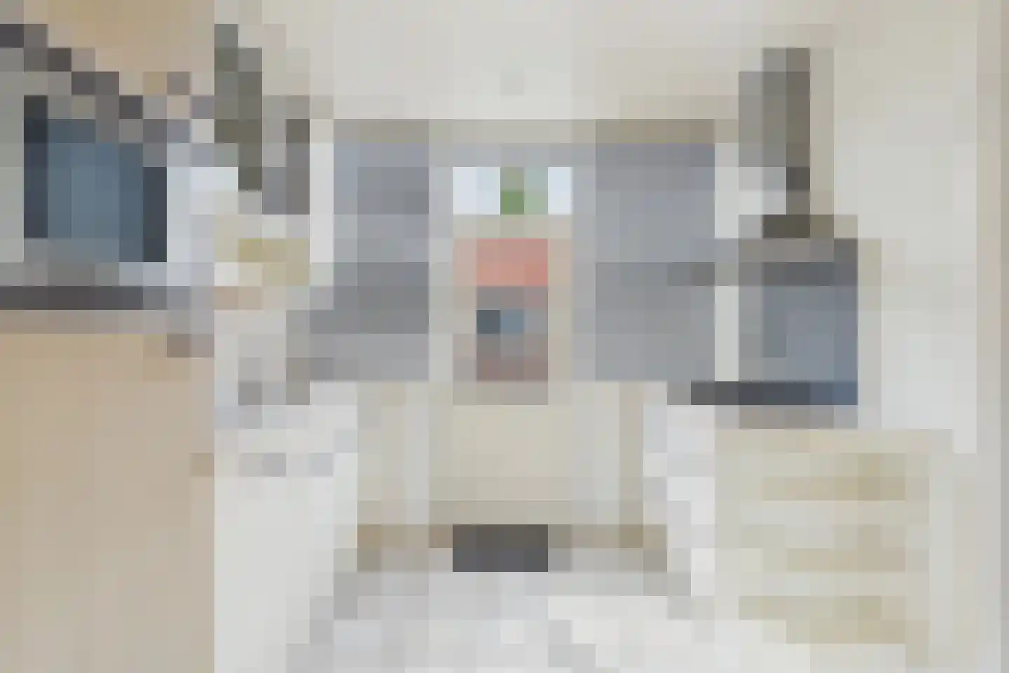 Spoorstraat 84 Sluiskil thumbnail 4