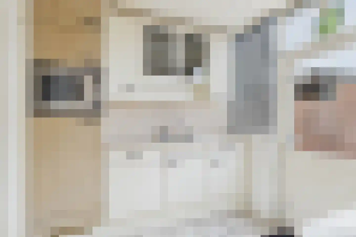 Spoorstraat 84 Sluiskil thumbnail 6