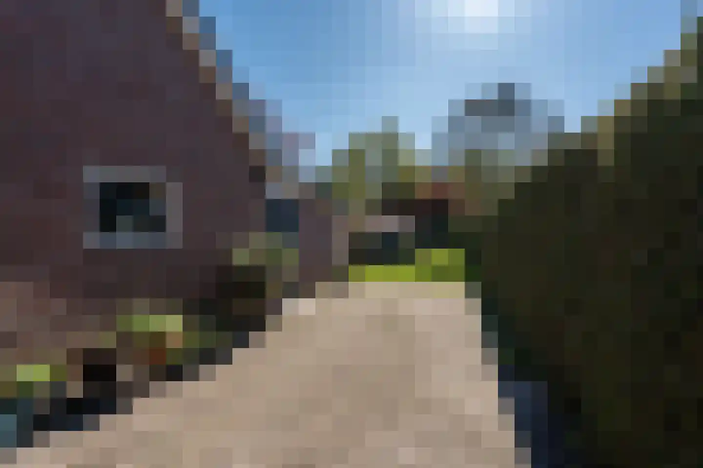 Spoorstraat 85 Stadskanaal thumbnail 37