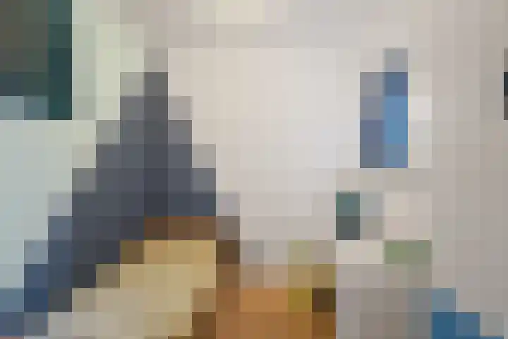 Spoorstraat 88 Alkmaar thumbnail 20