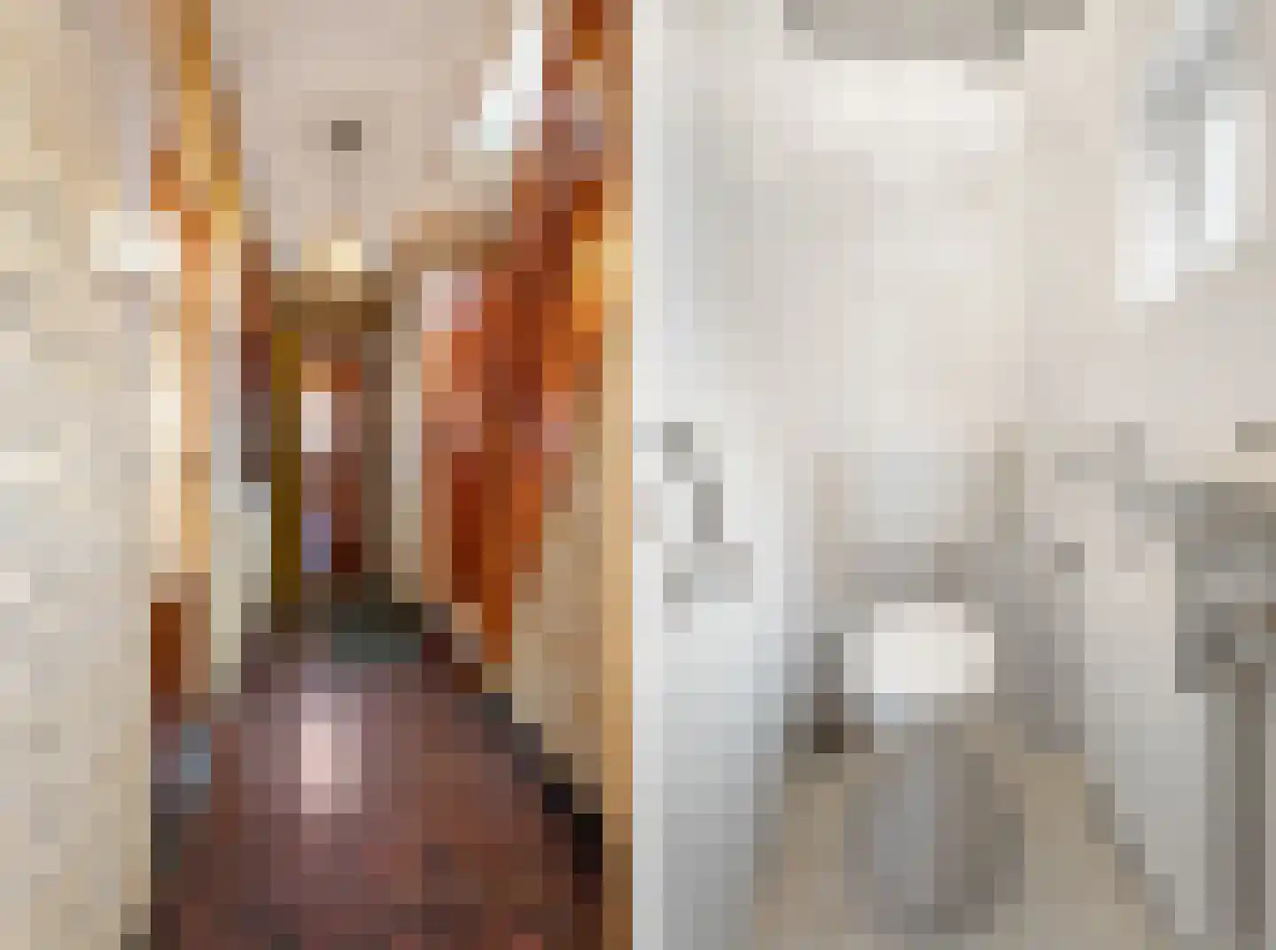 Spoorstraat 9 Buchten thumbnail 10