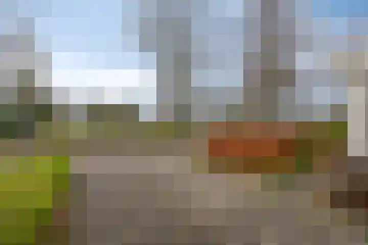Spoorstraat 9 Gieten thumbnail 6