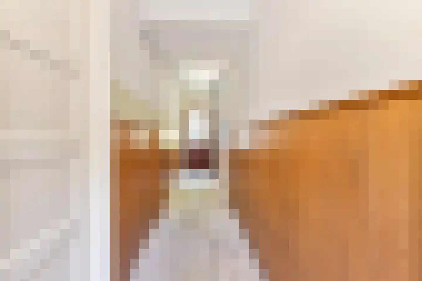 Spoorstraat 9 Grubbenvorst thumbnail 10