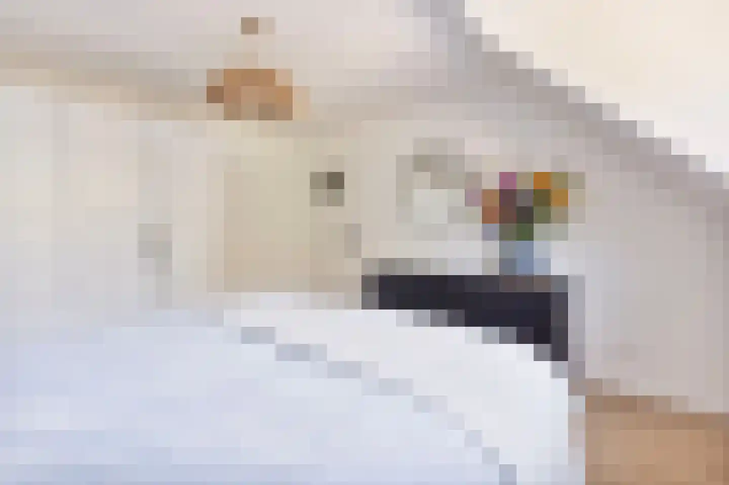 Spoorstraat 9 Grubbenvorst thumbnail 15