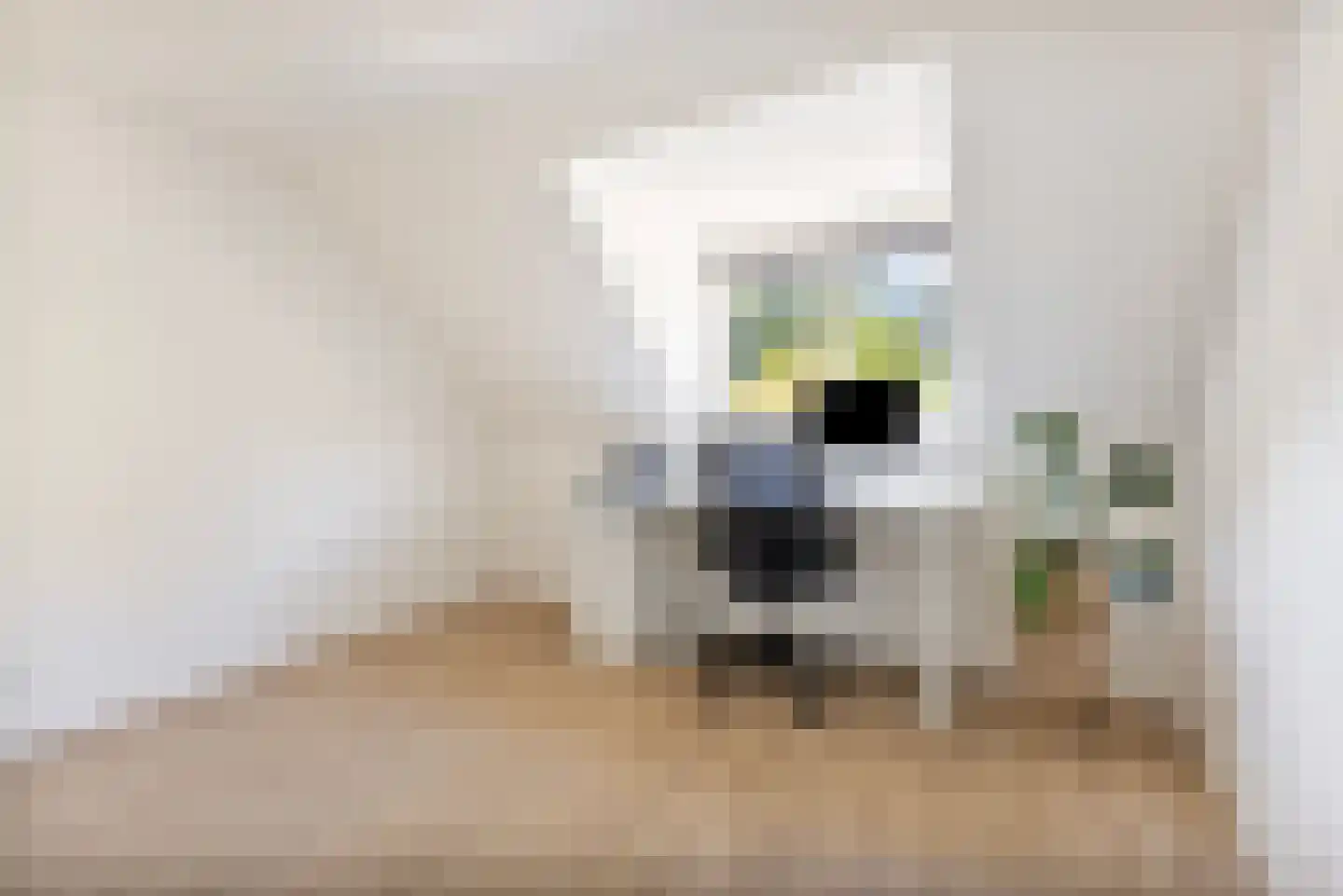Spoorstraat 9 Grubbenvorst thumbnail 21
