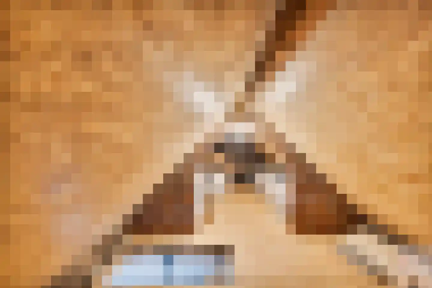 Spoorstraat 9 Grubbenvorst thumbnail 24