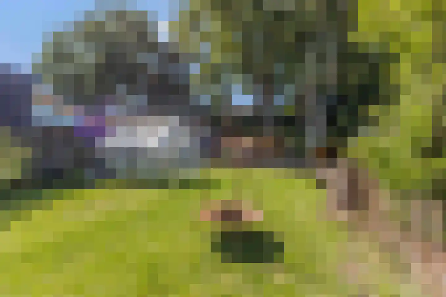 Spoorstraat 9 Grubbenvorst thumbnail 32