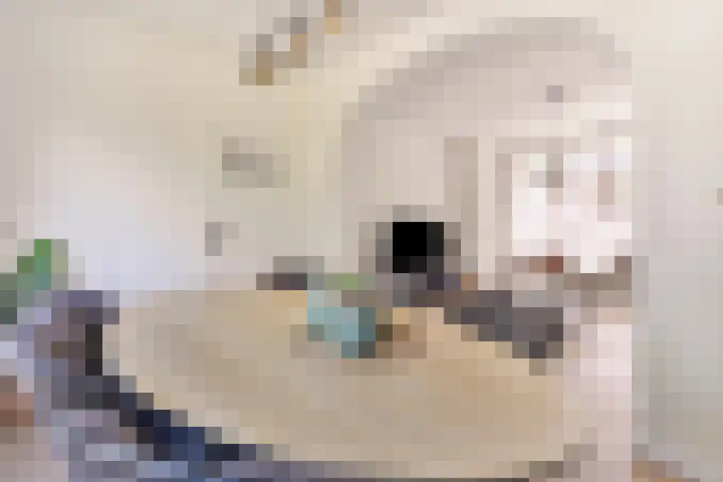 Spoorstraat 9 Grubbenvorst thumbnail 5