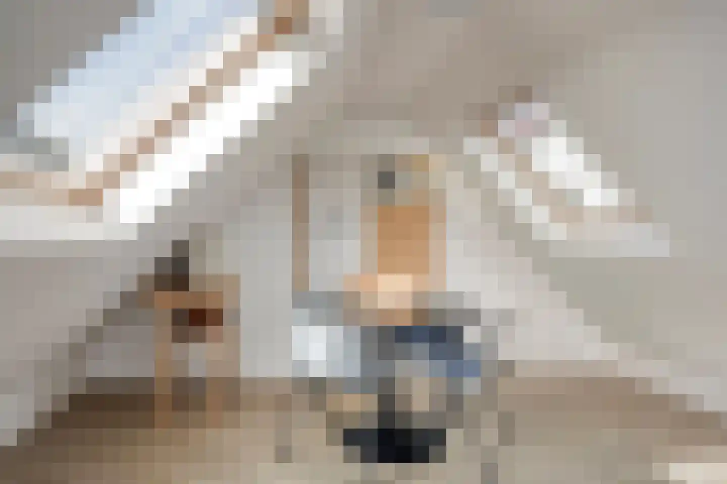 Spoorstraat 9 Olst thumbnail 22