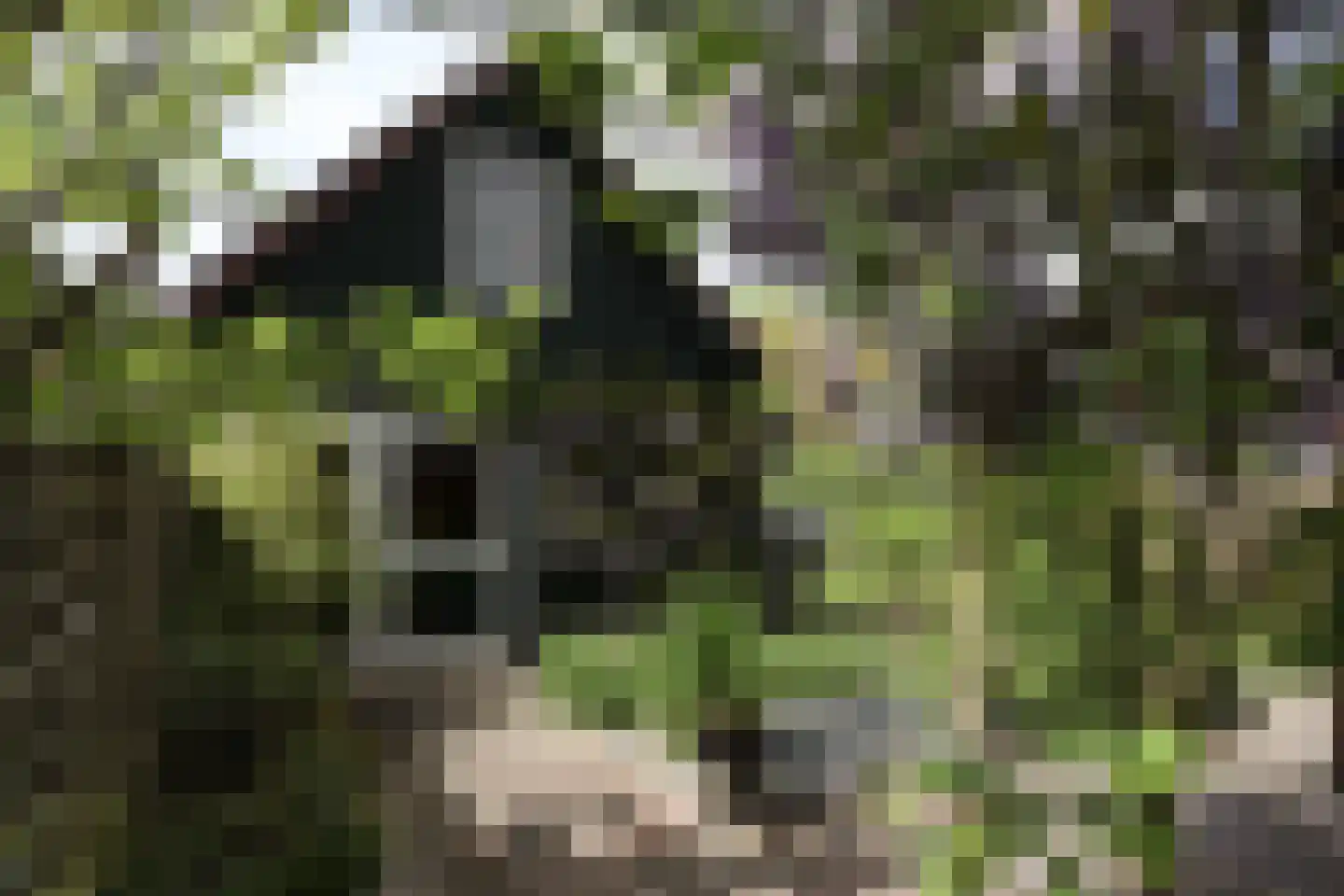Spoorstraat 9 Olst thumbnail 34