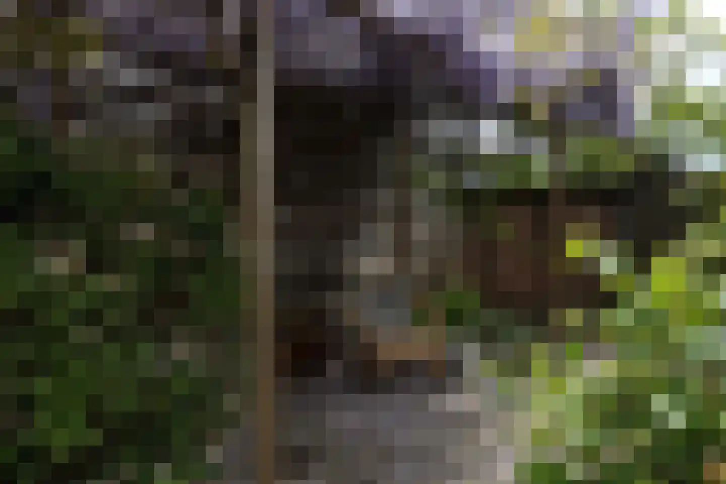 Spoorstraat 9 Olst thumbnail 38