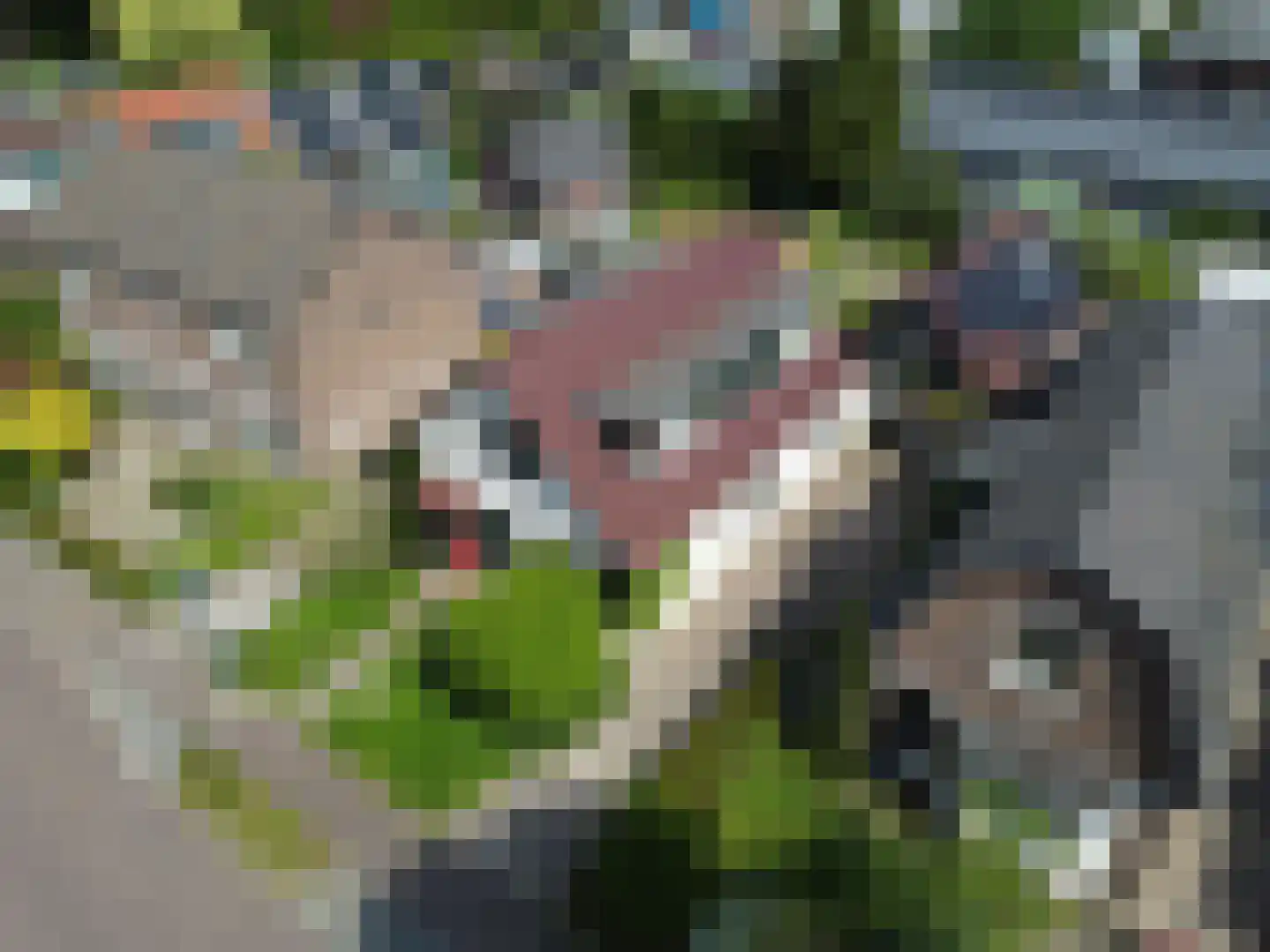 Spoorstraat 9 Olst thumbnail 40