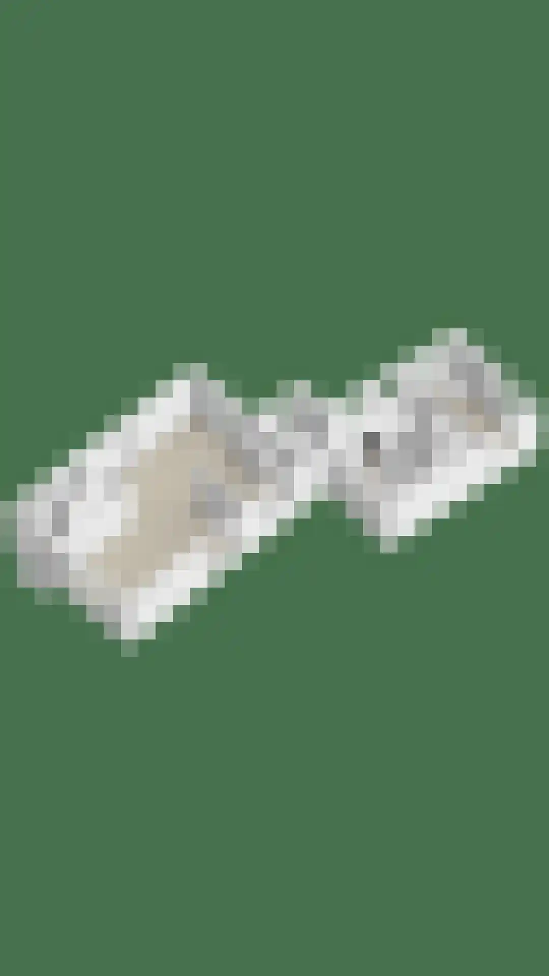 Spoorstraat 9 Olst thumbnail 45