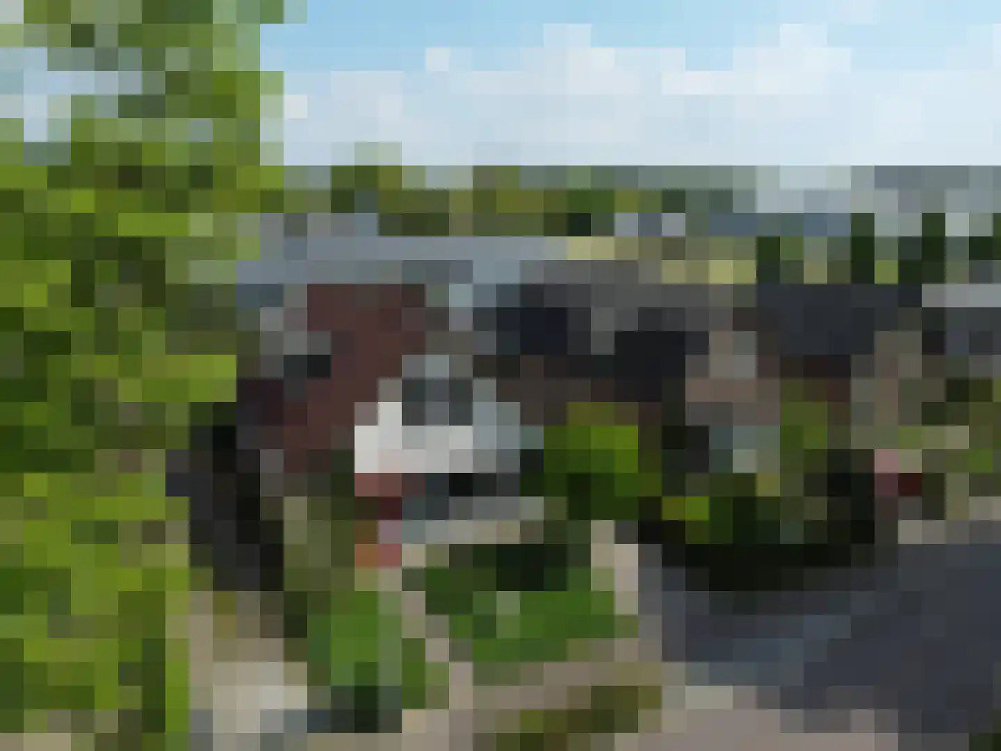 Spoorstraat 9 Olst thumbnail 5