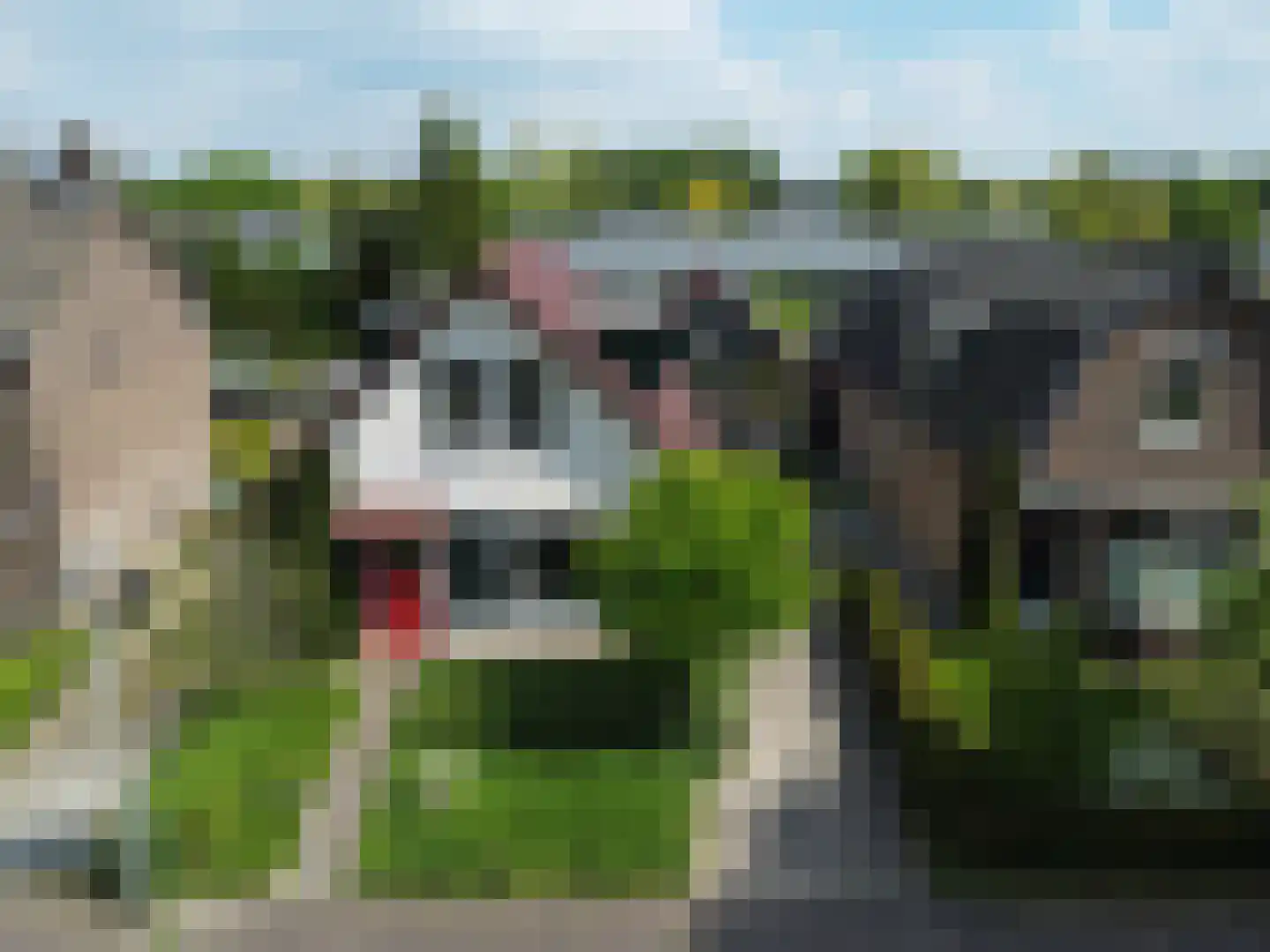 Spoorstraat 9 Olst thumbnail 6