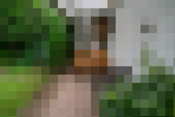 Spoorstraat 9 Westervoort thumbnail 31